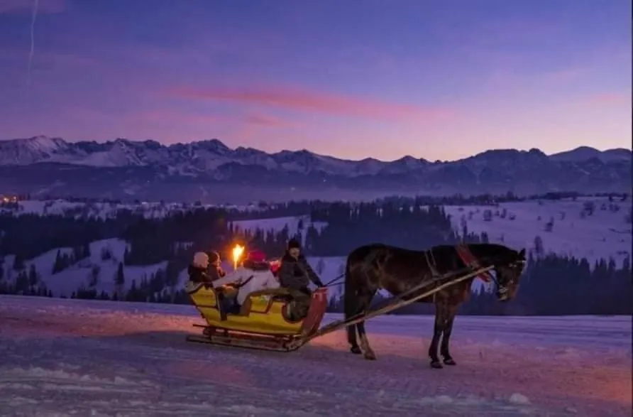 Apartment Rezydencja Pod Giewontem Zakopane